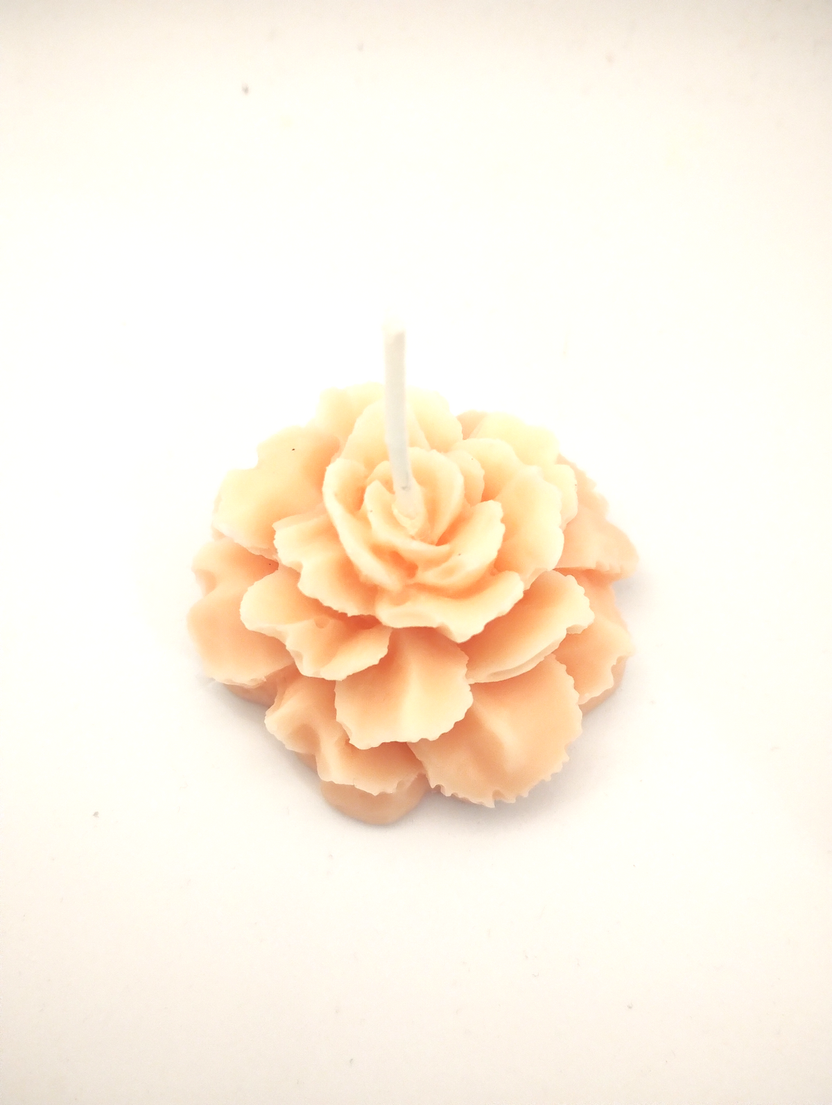 Blomster