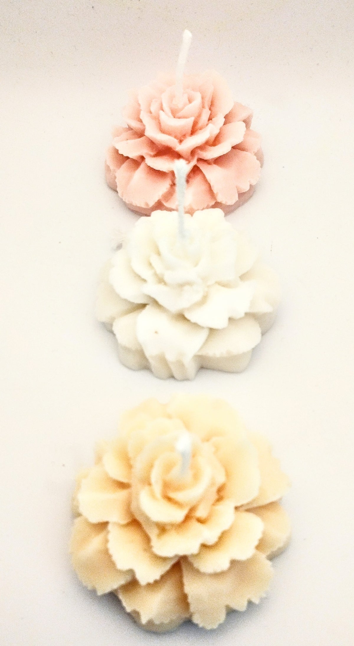 Blomster