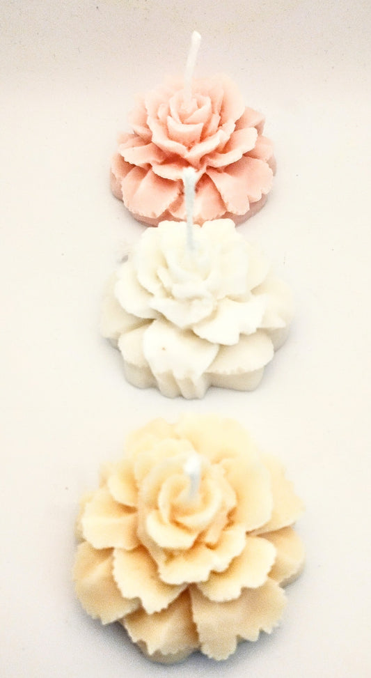 Blomster